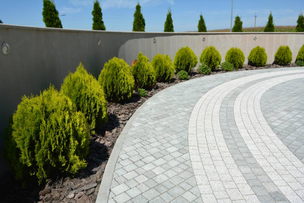 Best Interlocking Driveway Pavers  in Flossmoor, IL